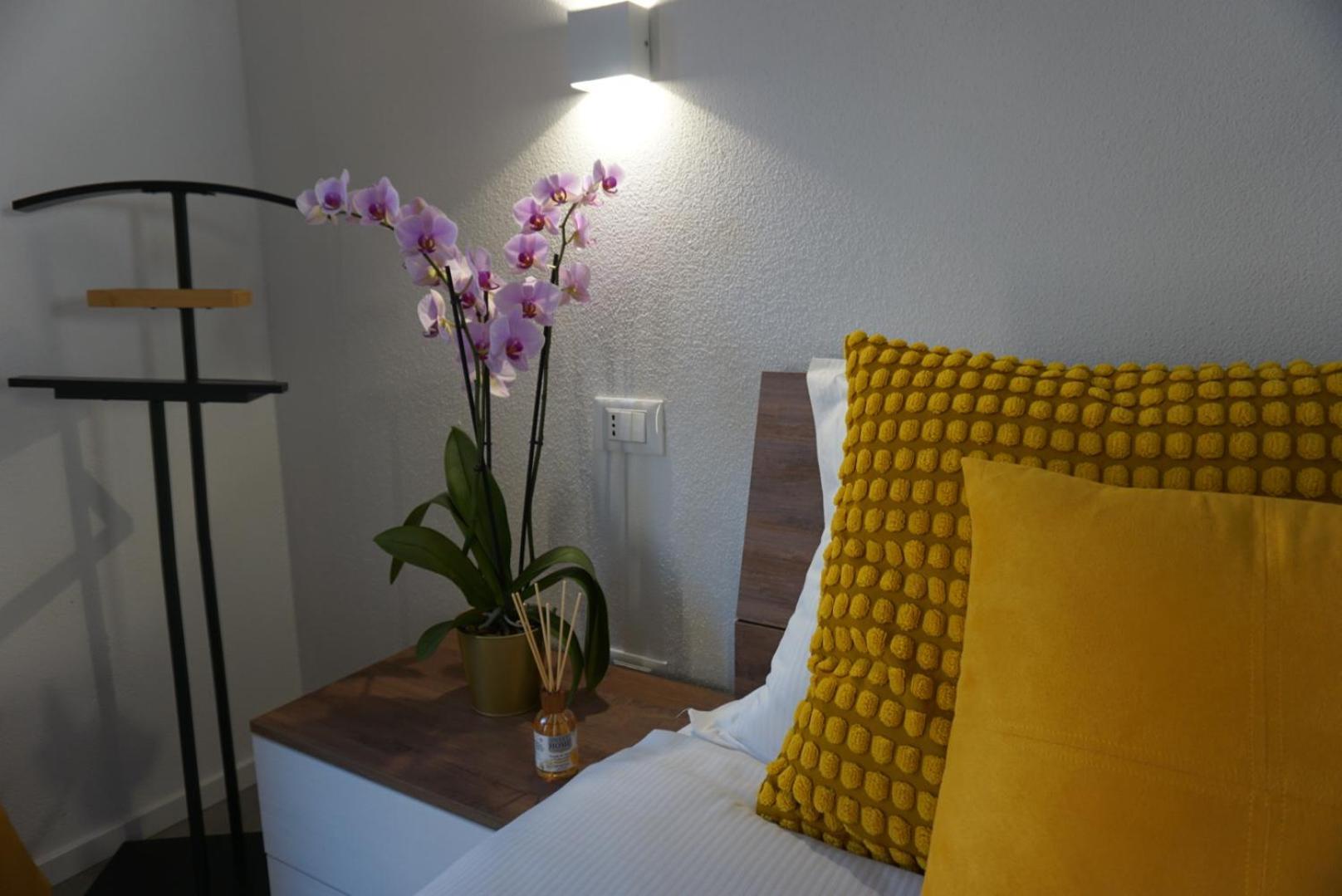 Elisa Apartments B - In Front Of The Walls Of Λούκα Εξωτερικό φωτογραφία